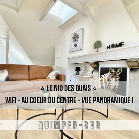 Le Nid Des Quais - Vue Panoramique Au Coeur De La Ville - Wifi - Entree Autonome カンペール エクステリア 写真